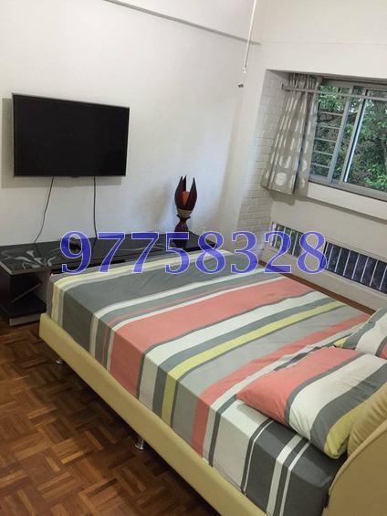 Normanton Park (Enbloc) (D5), Condominium #111107502